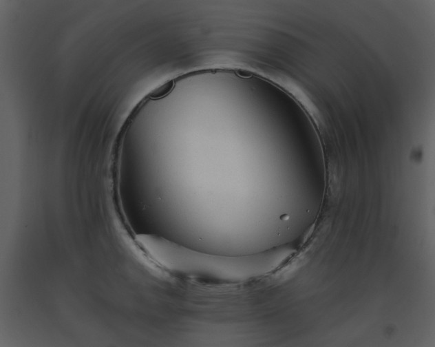 X0000093581142200710221458