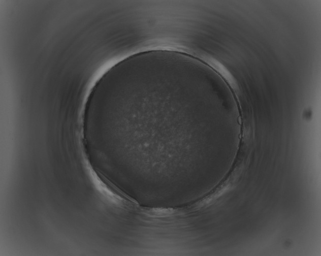 X0000093581144200710221458