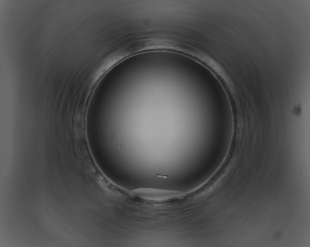X0000093581145200710221458