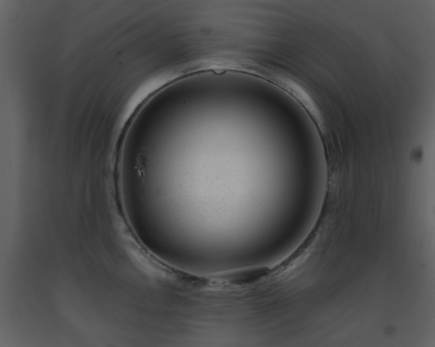 X0000093581146200710221458