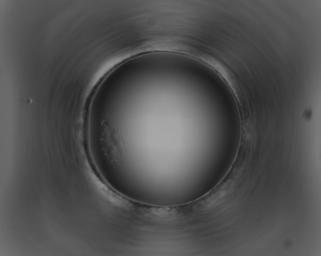 X0000093581147200710221458
