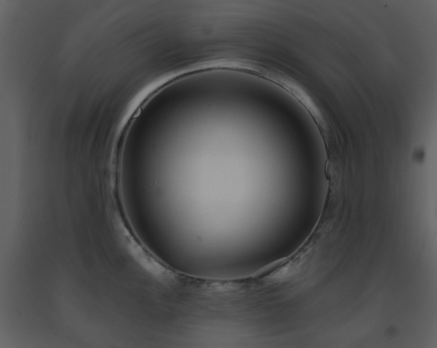 X0000093581148200710221458