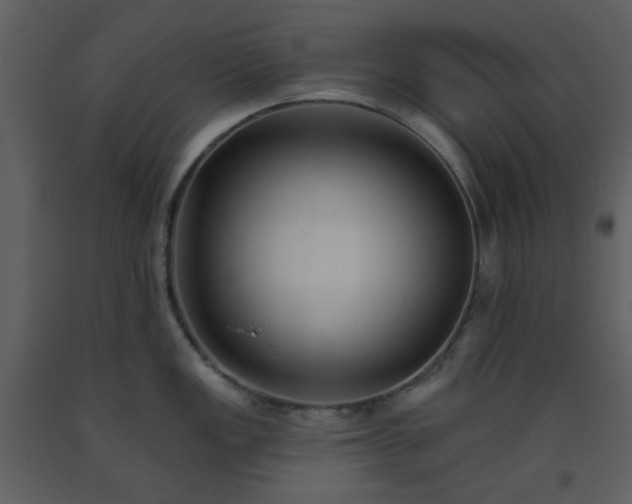 X0000093581149200710221458