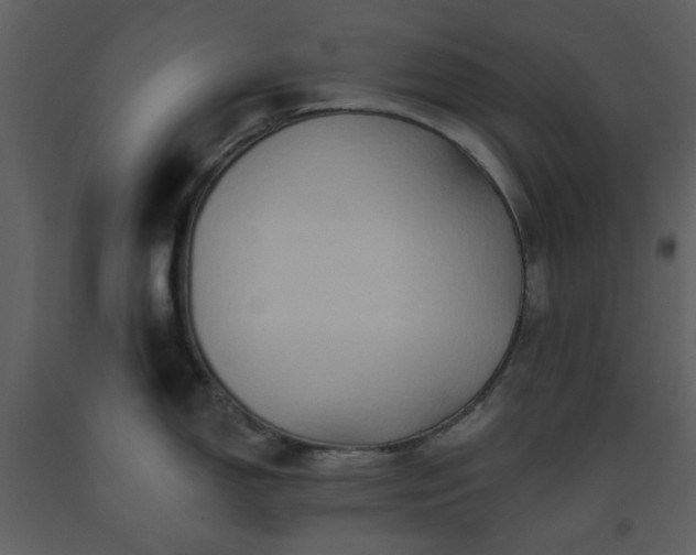 X0000093581150200710221458