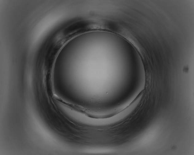 X0000093581151200710221458