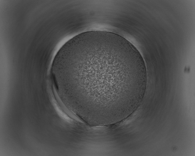 X0000093581152200710221458
