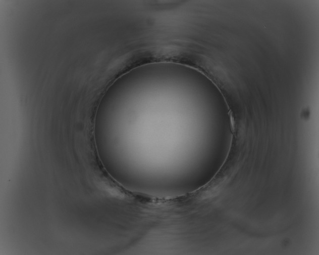 X0000093581153200710221458