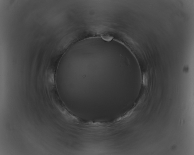 X0000093581155200710221458