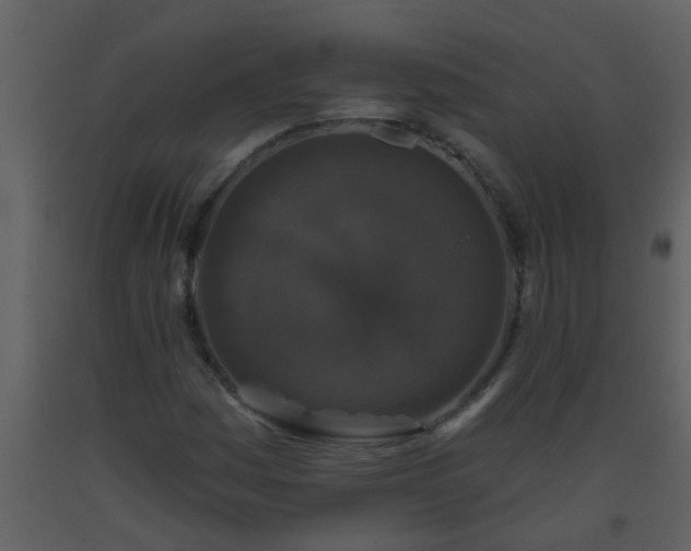 X0000093581161200710221457