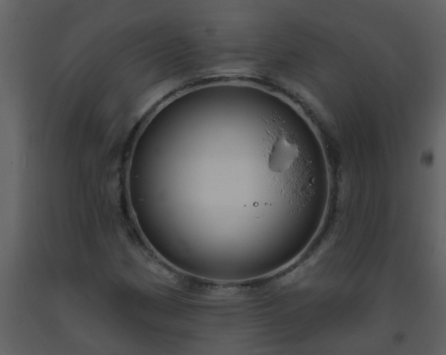 X0000093581162200710221457