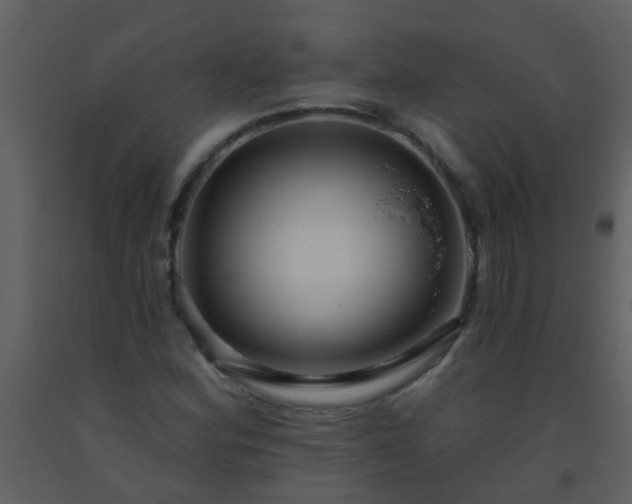 X0000093581164200710221457