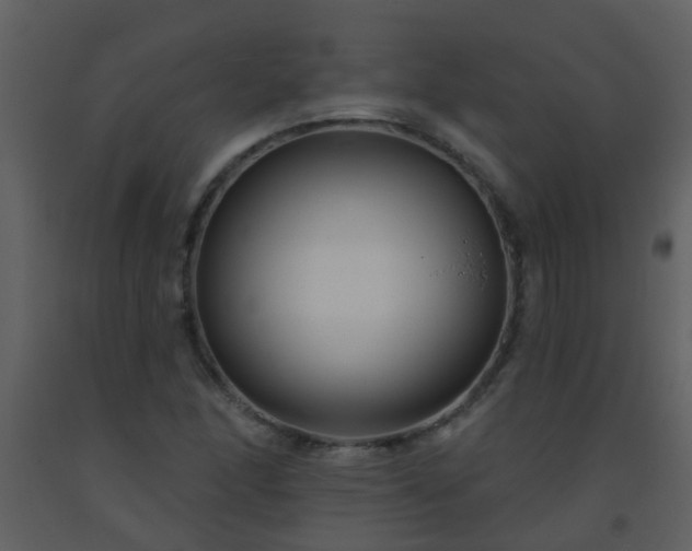 X0000093581166200710221457