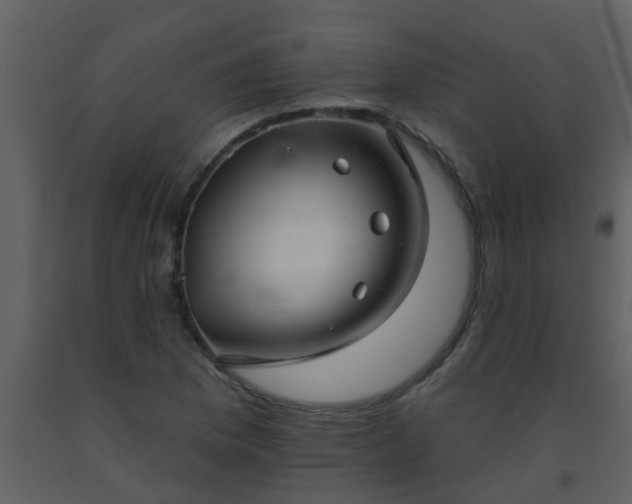 X0000093581169200710221457
