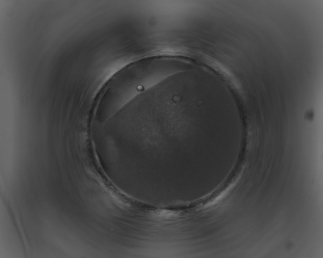 X0000093581170200710221457