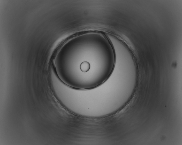 X0000093581172200710221457