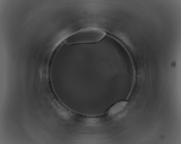 X0000093581173200710221457