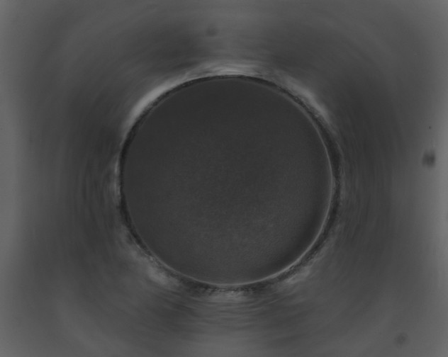 X0000093581174200710221457