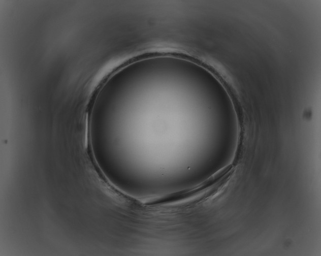 X0000093581175200710221457