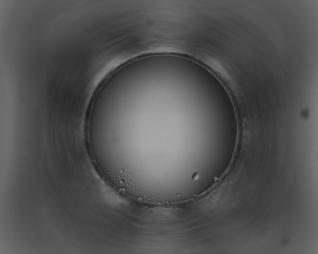 X0000093581181200710221457