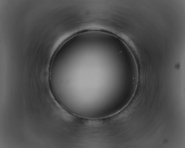 X0000093581183200710221457