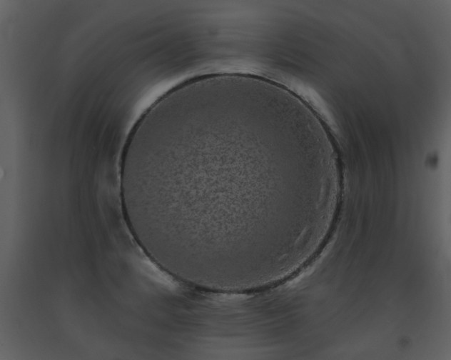 X0000093581184200710221457