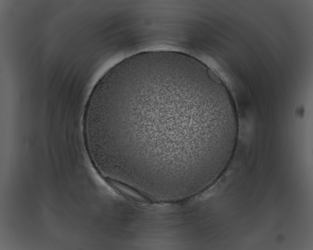 X0000093581189200710221457