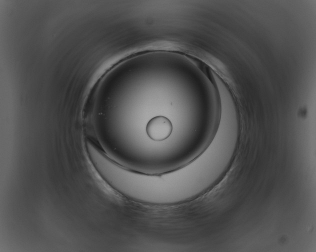 X0000093581192200710221457