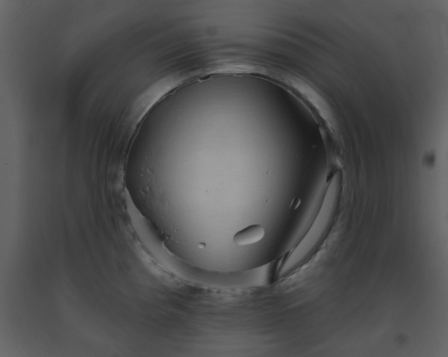 X0000093581193200710221457