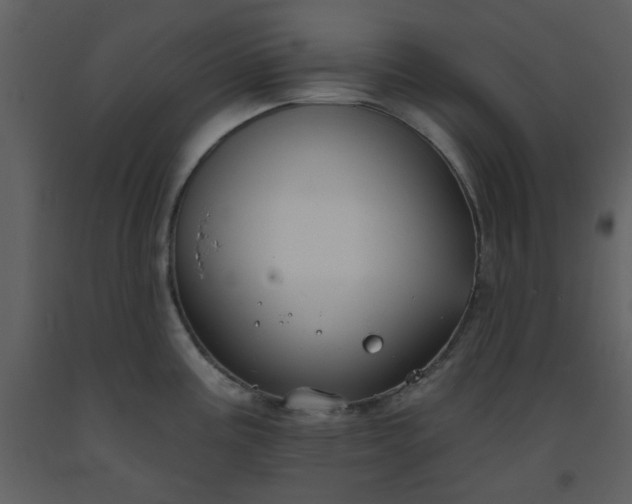 X0000093581195200710221457