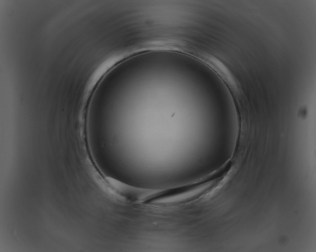 X0000093581196200710221457