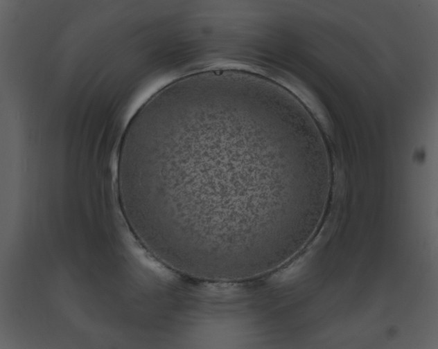 X0000093581198200710221457