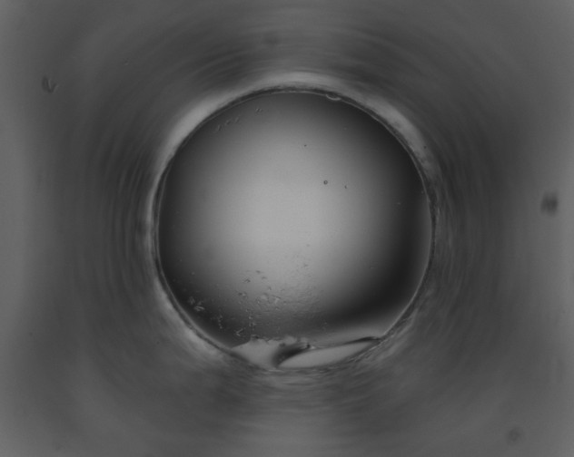 X0000093581199200710221457