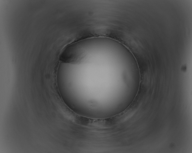 X0000093581201200710221456