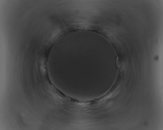 X0000093581202200710221456