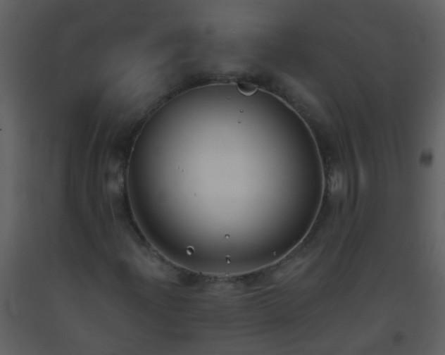 X0000093581204200710221456