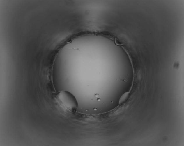 X0000093581205200710221456