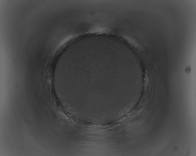 X0000093581206200710221456