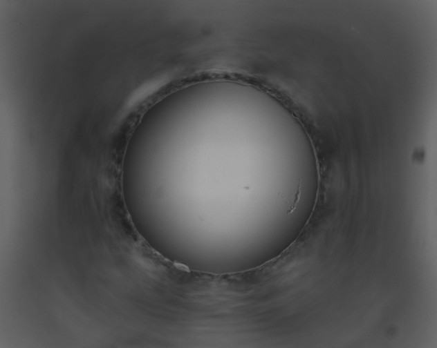 X0000093581207200710221456