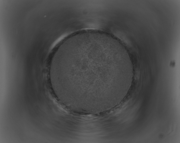 X0000093581208200710221456