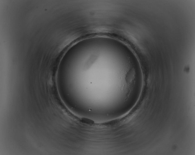 X0000093581209200710221456
