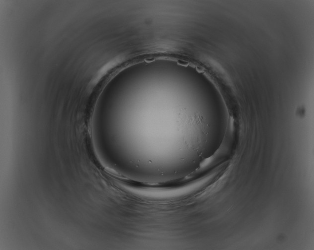 X0000093581210200710221456