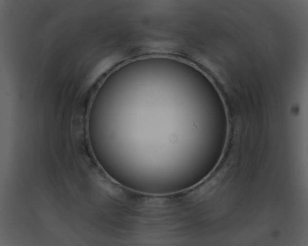 X0000093581211200710221456