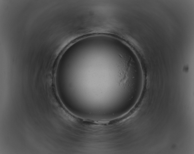X0000093581212200710221456