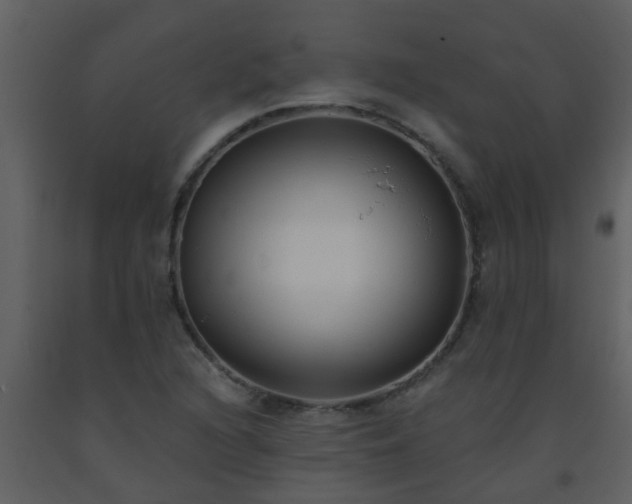 X0000093581216200710221457