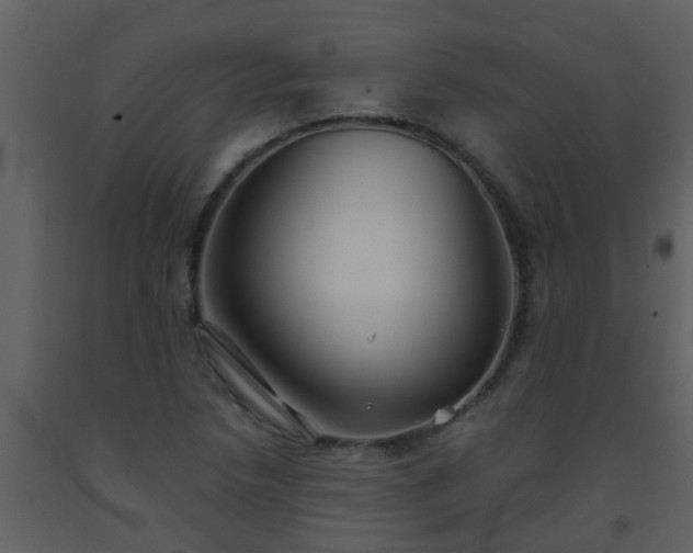 X0000093581218200710221457