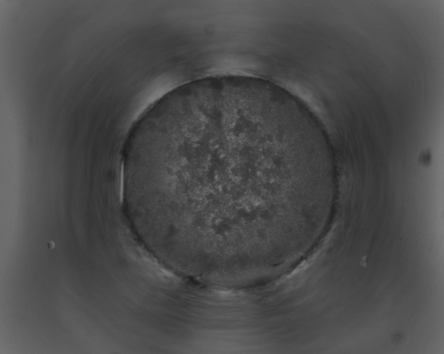 X0000093581219200710221457