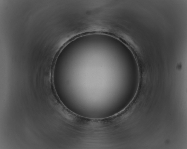 X0000093581220200710221457