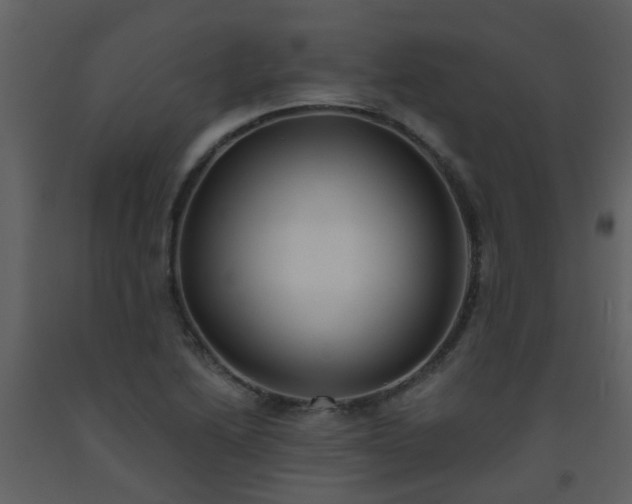 X0000093581222200710221457
