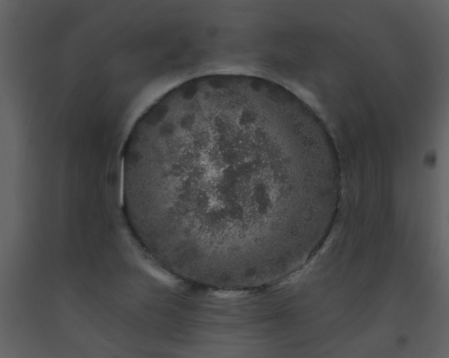 X0000093581223200710221457