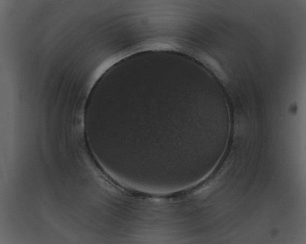 X0000093581226200710221457